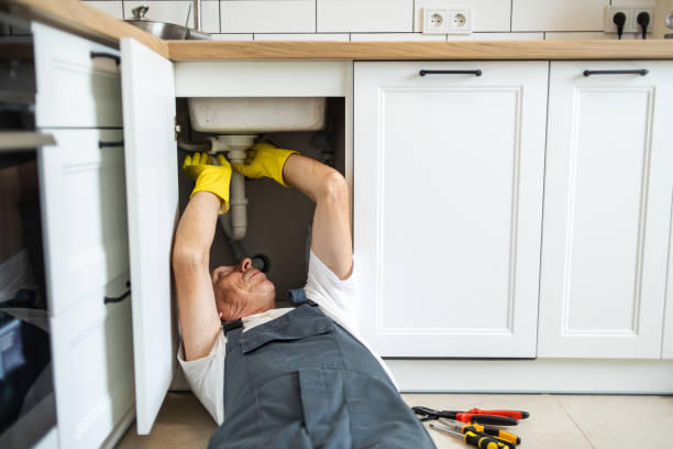 Best Plumbing Services Near Me  in Lakewood, IL