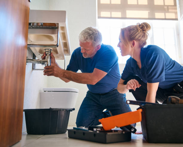 Best Toilet Repair Services  in Lakewood, IL